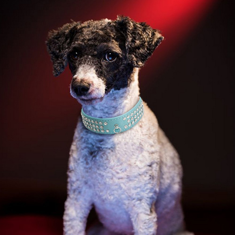 Adjustable Crystal Diamond Leather Pet Puppy Dog Collar Size M - Blue