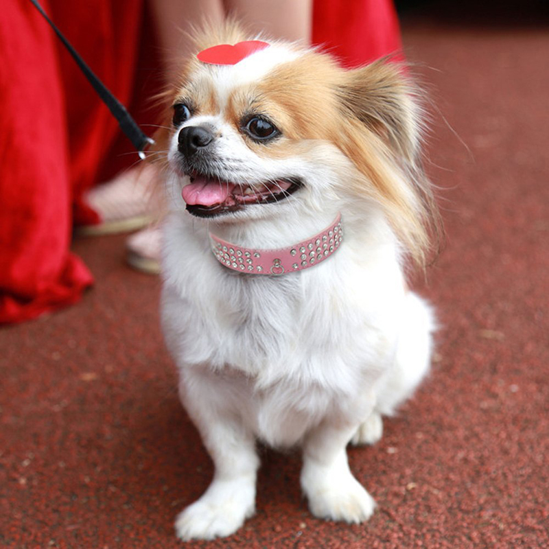 Adjustable Crystal Diamond Leather Pet Puppy Dog Collar Size M - Pink