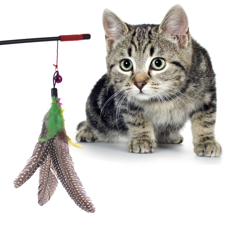 Pet Cat Toy Cute Design Bird Feather Teaser Wand Plastic Toy