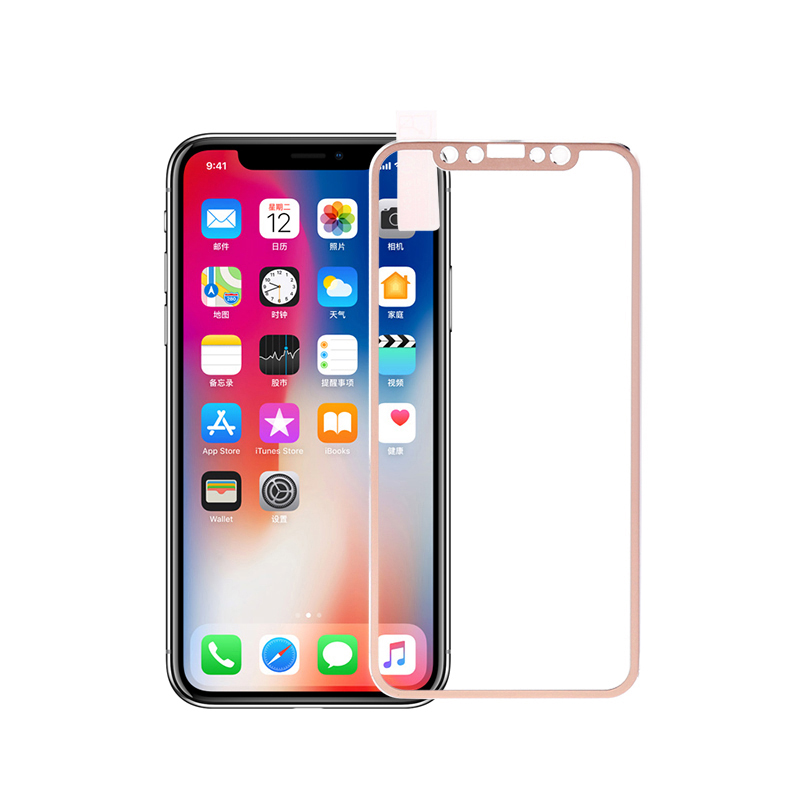 iPhone X/XS 3D Tempered Glass Metal Edge to Edge Screen Protector - Golden