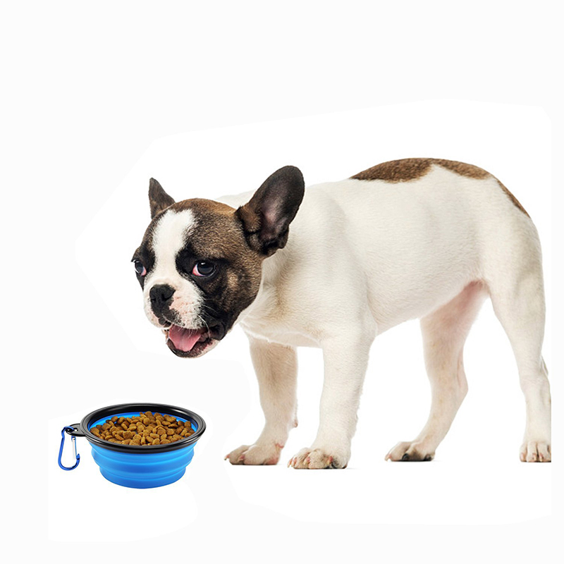 Pet Dog Cat Silicone Collapsible Feeding Bowl Travel Portable Bowl with Metal Buckle - Blue