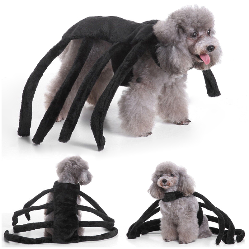 Spider Costume Pet Dog Cat Cosplay Clothes Halloween Fancy Dress Size S