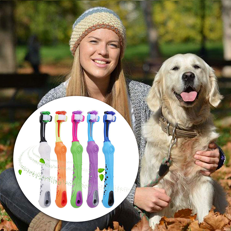 Pet Dog Non-slip Handle Three-head Toothbrush Multi-angle Cleaning Toothbrush