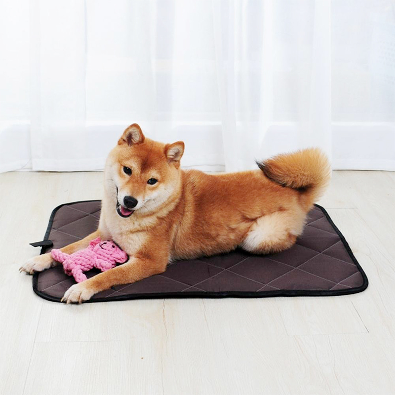 Safe Summer Cooler Dog Beds Mats Pet Ice Pad Waterproof Keep Cool Cold Silk Bite-Resistant Cushion Coffee