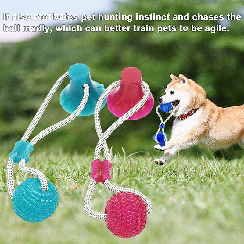 Flexible Pet Molar Bite Toy Multifunction Floor Suction Cup Dog Chew Ball Pet Toy Cleaning Teeth