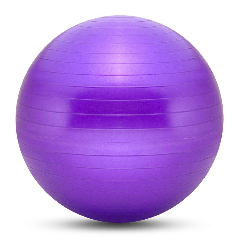 75cm Sports Fitness Yoga Ball Fitball Pilates Balance Gym Exercise Yoga Ball with Inflator