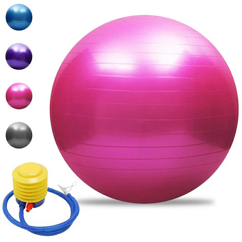 65cm Sports Fitness Yoga Ball Fitball Pilates Balance Gym Exercise Yoga Ball with Inflator