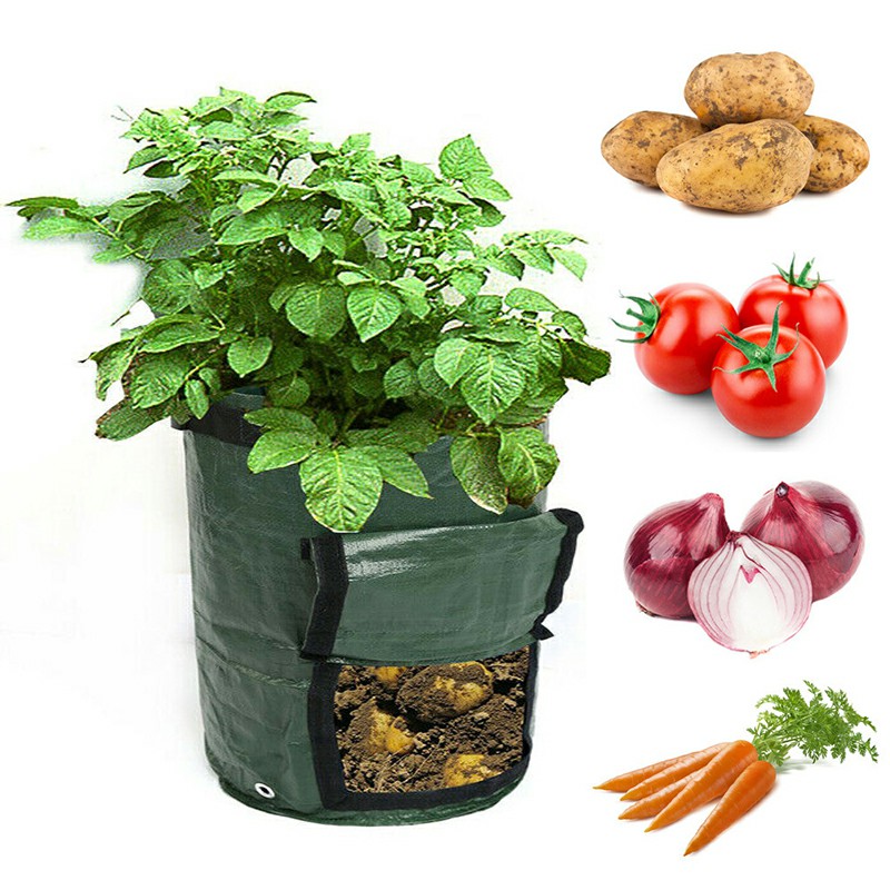 10 Gallon PE Plastic Reusable Potato Bags Tomato Veg Durable Balcony Patio Planters Grow Bag