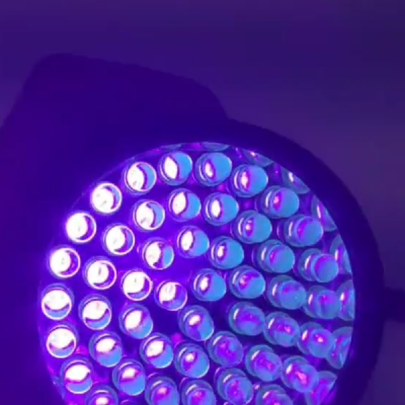 UV LED Flashlight Torch Light Ultra Violet Blacklight Pet Urine Stain Detector