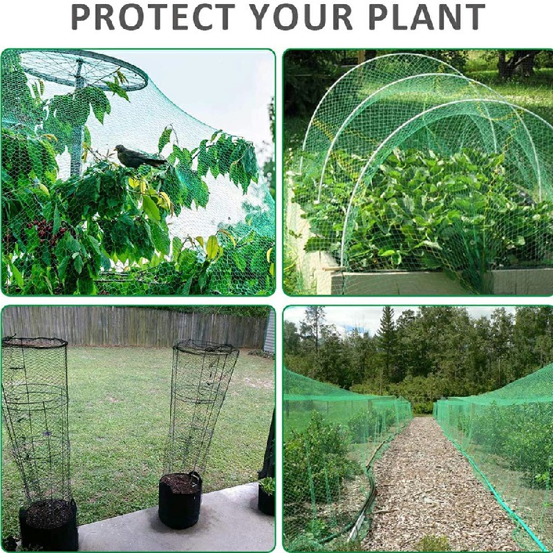 Anti Bird Netting Garden Fruit Cage Crop Veg Pond Protection Mesh 5 x 10m