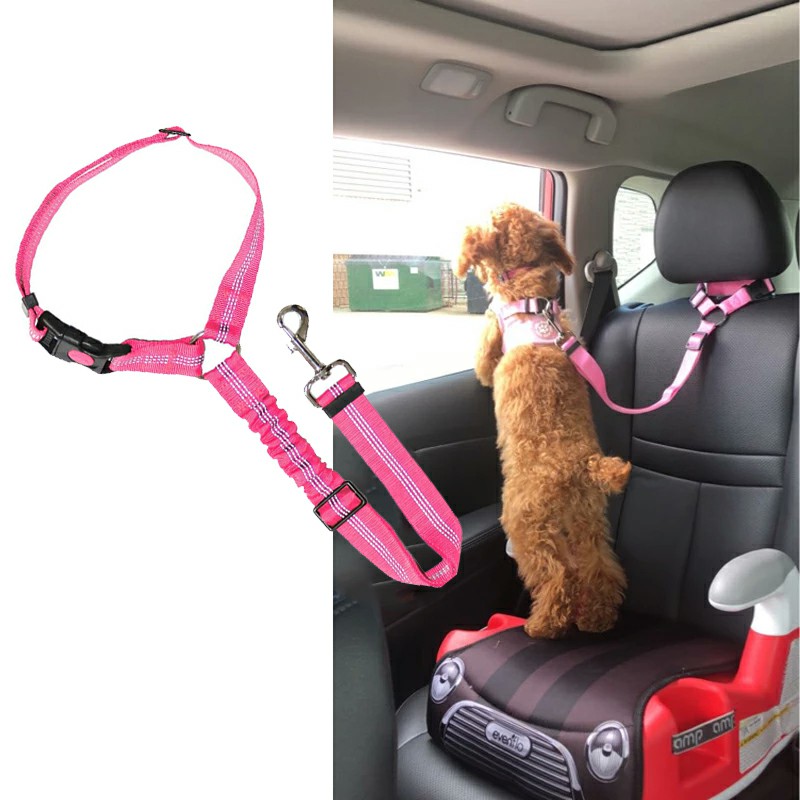 Anti-Shock Dog Car Seat Belt - Bungee Leash Clip For Vehicle Travel Safety, Adjustable 50-84cm, Black